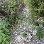 Cascina G Tra I Noccioli * Verduno