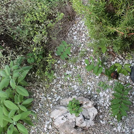 Cascina G Tra I Noccioli * Verduno