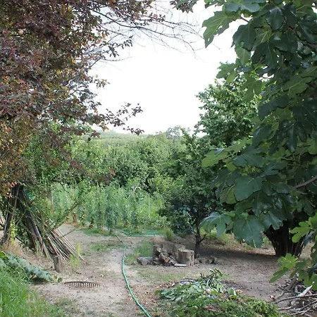 Cascina G Tra I Noccioli Apartment Verduno