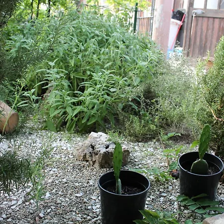 Cascina G Tra I Noccioli Apartament Verduno