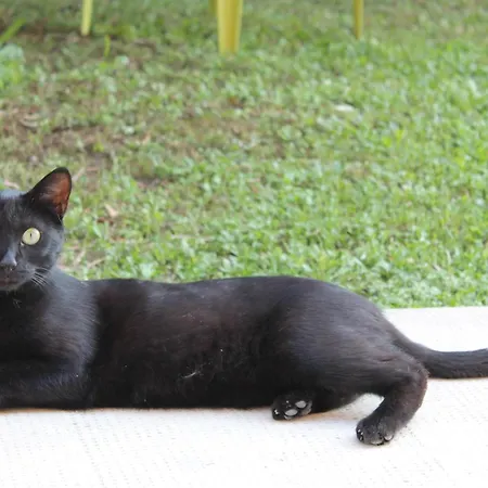 Cascina G Tra I Noccioli * Verduno