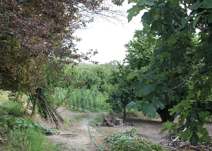 Cascina G Tra I Noccioli Apartament Verduno