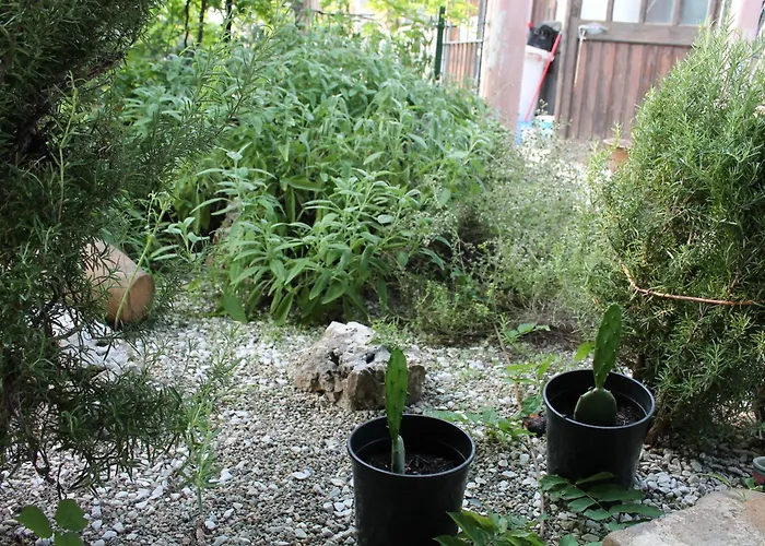 Cascina G Tra I Noccioli Apartament Verduno
